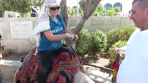 George Bush the Camel gives Laurie Martin a ride on Mount of Olives! - Walk With Us, Steve Martin