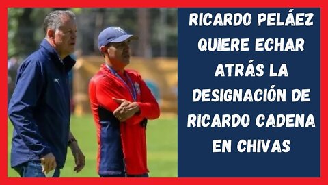 ¿Por qué Pelaéz no está convencido de Cadena - Chivas Noticias Hoy - Liga MX