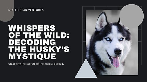 Whispers of the Wild: Unveiling the Husky's Mystique