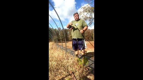 Pulling Rebar to Move the Grow Tunnel