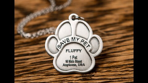 Zinzie Pie Save My Pet ID Tag For Humans & Pet First Aid