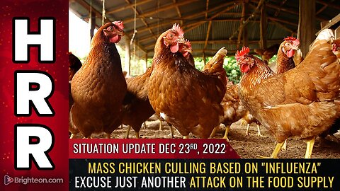 Situation Update, 12/23/22 - Mass chicken culling based on "influenza" excuse...