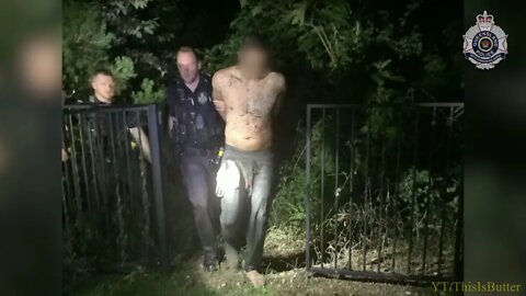 Queensland police dogs track man through swamp at night after he allegedly fled serious crash scene