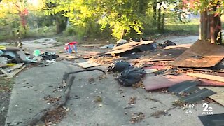 Crews clean up vacant lots along North Carlton Street