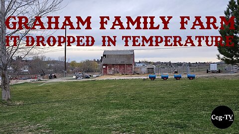 Graham Farm Farm: It Dropped in Temperature