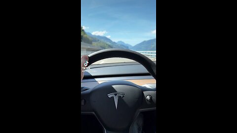 Tesla Squad Goals: Friends, Chill AC, Epic Views, and Roadtrip Shenanigans! ❄️🚗