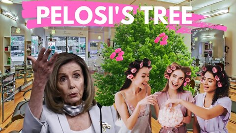 Protesters Put Hair Curlers In Nancy Pelosi's Tree