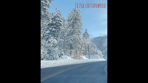 Snowshoeing at Little Cottonwood
