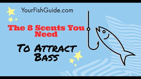 The 8 Scents You Need To Attract Bass While Fishing