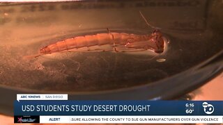USD students study drought's impact on desert ecosystem