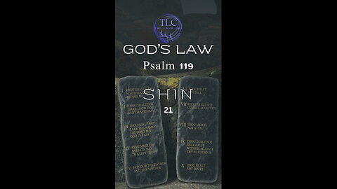 GOD'S LAW - Psalm 119 - 21 - Peace in keeping God's law #shorts