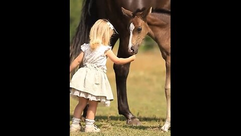 Little girl makes friends with foal