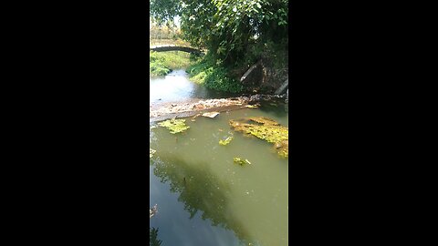 Beautiful water flowing place.