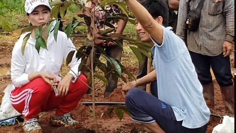 (09.10.2020) របៀបដាំទុរេន / How To Grow The Durian (EXM Agriculture) Part 1