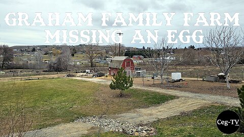 Graham Family Farm: Missing an Egg