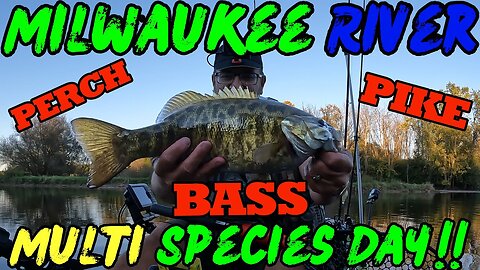 Milwaukee River Multi Species Day!! [BASS, PIKE, PERCH]