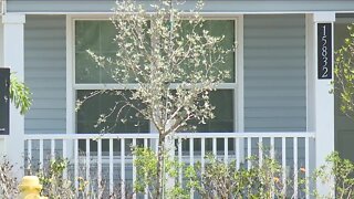 Habitat for Humanity accelerating growth in SWFL