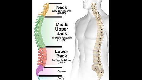 Kundalini Yoga - 15 Minutes to Mobilize your Spine