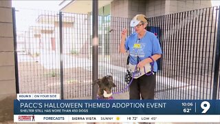 PACC's Halloween Themed Adoption Event