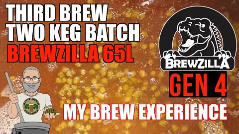 Brewzilla GEN 4 65L 2 Keg Batch My 3rd Brew Experience For Homebrewers