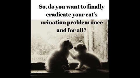 So, do you want to finally eradicate your cat's urination problem once and for all?