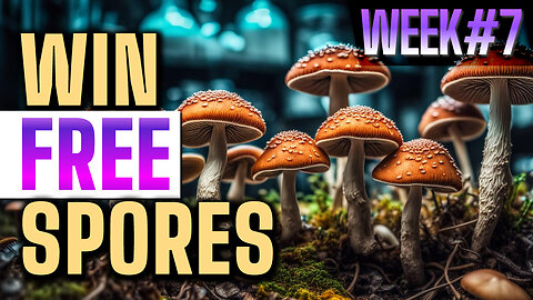 Win free spores week 7 give away