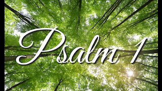Psalm 1 | Music & Ambience