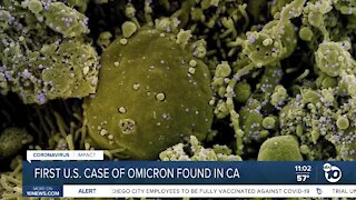 Expert weighs in on omicron virus and prevent possible outbreaks