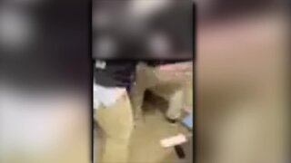 Students brawl at Mervo High School