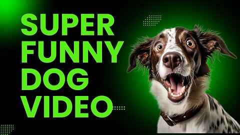 Super Funny Dog Video