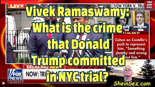 Vivek Ramaswamy: What is the crime that Donald Trump committed in NYC trial?-532