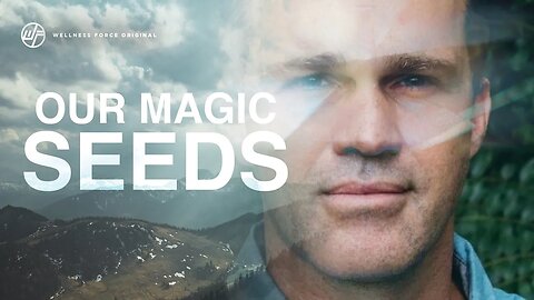 OUR MAGIC SEEDS 🌱 Zach Bush MD: Discover the real agriculture revolution | Wellness Force #Podcast