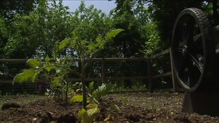 Once abandoned, East Side properties become community garden and gathering space