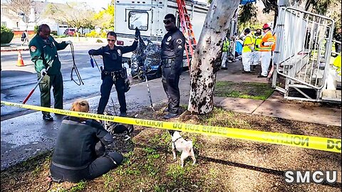 RV Towed in Venice Homeless Encampment Cleanup Operation