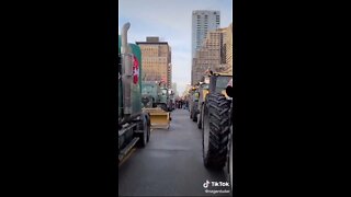 Canadian Farmers Rolled Up To Canada's Freedom Convoy