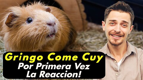 Gringo Comiendo Cuy Por Primera Vez | Cree Que Son Mascotas! | Reacciones