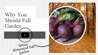 Why You Should Fall Garden | Urban Homestead Fall Garden