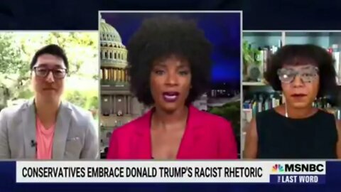 The racial animus coming out of MSNBC doesn't even make sense - 8/6/22
