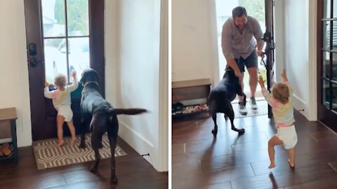 Little Girl And Doggy Get So Excited When Daddy Comes Home From Work