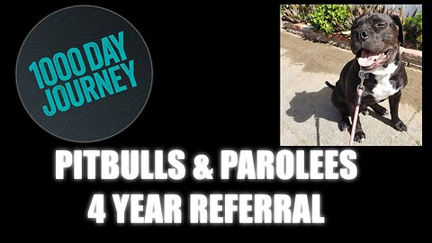 1000 Day Journey 0285 Pitbulls and Parolees Four-Year Referral