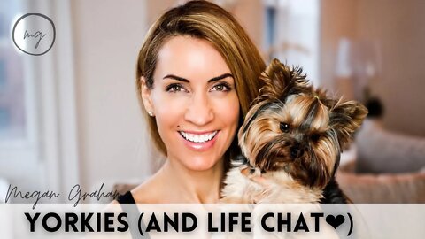 Sunday Chat with Megan | Yorkies and weekly chat❤️