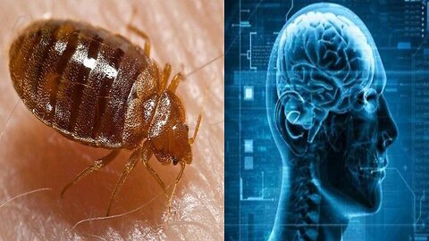 From Bedbugs to Trans-humanism