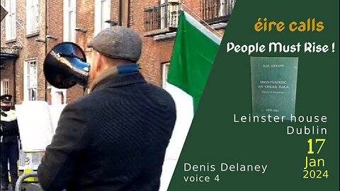 Denis, Assembly nr 2 of Irish Nationals, Leinster House, Dublin, Ireland 17 Jan 2024