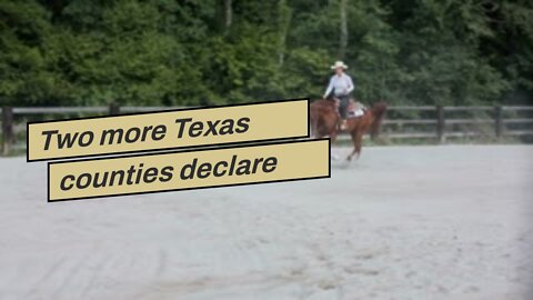 Two more Texas counties declare invasion at southern border, bringing total to 29