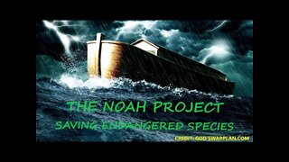 THE NOAH PROJECT: INTRODUCTION