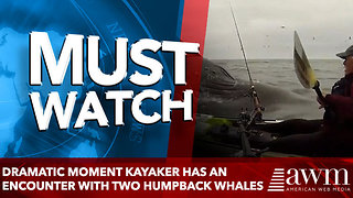 Dramatic moment kayaker has aN encounter with TWO humpback whales