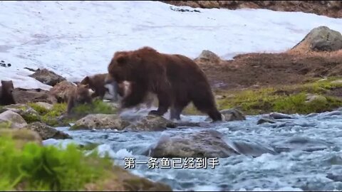 Kamchatka, life begins, respect for nature 7