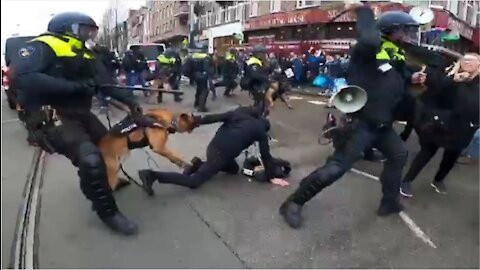 Amsterdam Police use Attack Dogs on Anti Covid Lockdown Protesters