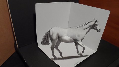 How to draw a 3D horse