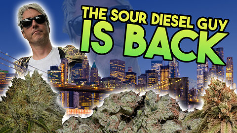 Sour Diesel Coming to NYC
